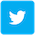 blue twitter icon